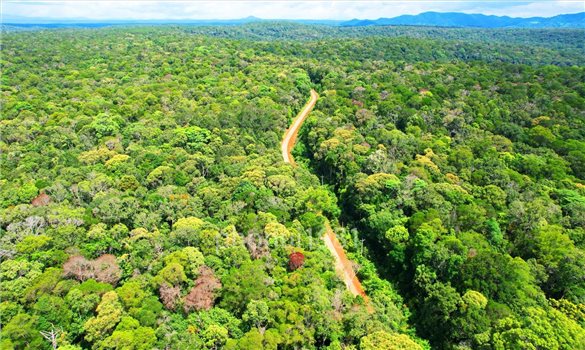 Bảo vệ và khai thác hiệu quả “Viên ngọc xanh” của Tây Nguyên