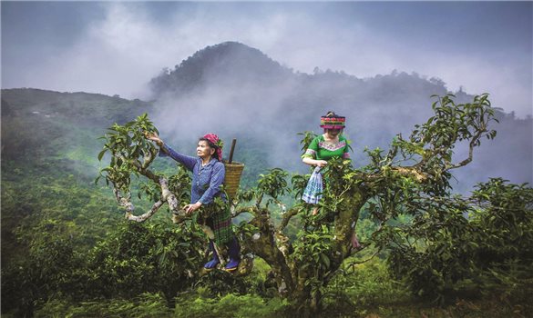 Giàng Pằng - Nơi người Mông viết câu chuyện từ Shan tuyết