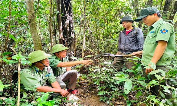 Rừng "trả nợ" sinh kế cho đồng bào