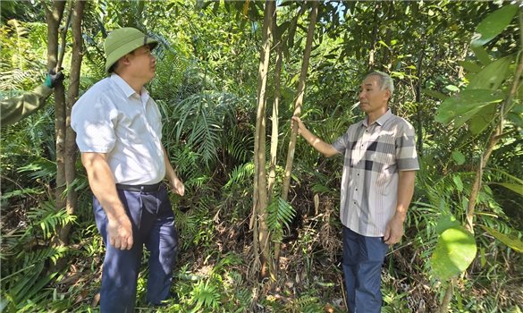 Khi cán bộ cơ sở “đi trước, làm cùng”