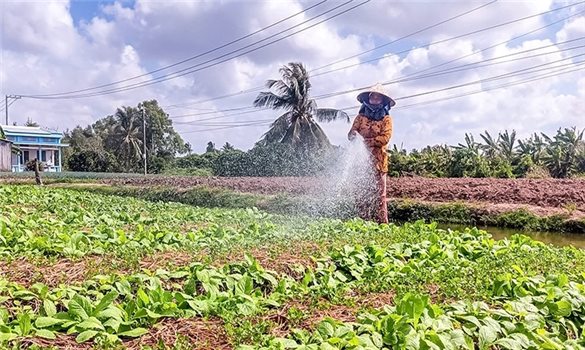 Đồng bào Khmer thêm một mùa Tết Chôl Chnăm Thmây khởi sắc