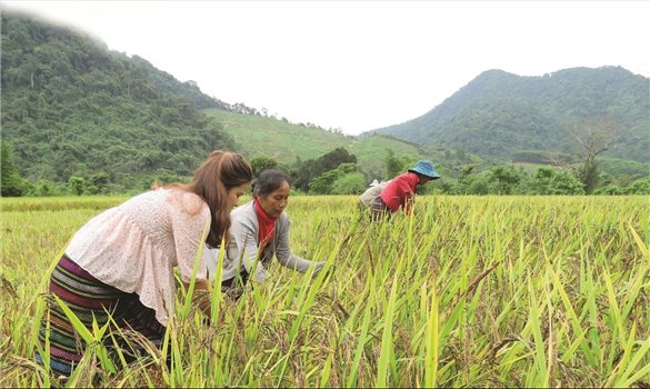 Từ hỗ trợ sang trao quyền - Lối đi căn cơ cho giảm nghèo bền vững