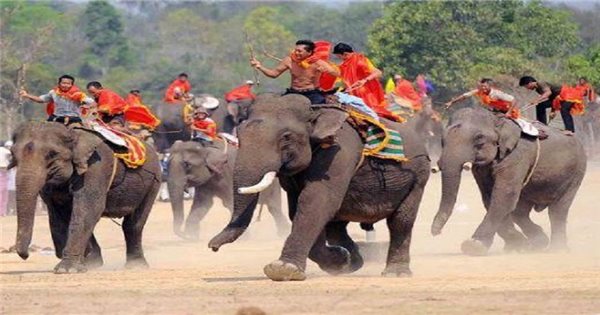 Lễ hội đua voi là một trong những sự kiện lớn nhất của đất nước chúng ta. Đây là dịp để chúng ta tận hưởng không khí rộn ràng, sôi động và tuyệt vời. Hãy xem những hình ảnh đua voi sôi động này và cùng đắm mình trong không khí hào hùng của lễ hội này.