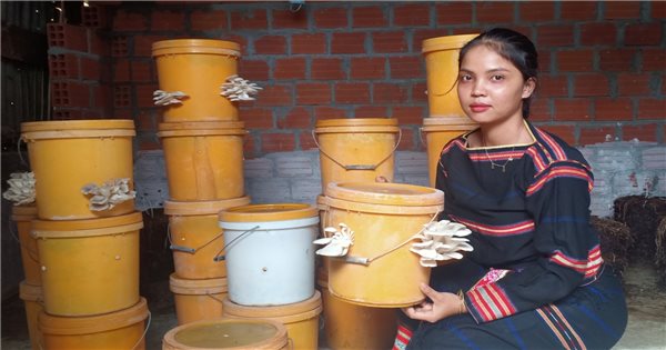 Cô gái Gia Rai đầu tiên đưa mô hình trồng nấm sạch về làng