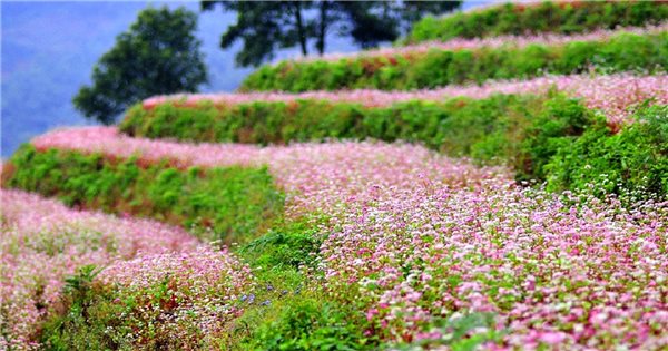 Thời tiết Tây Bắc mùa đông