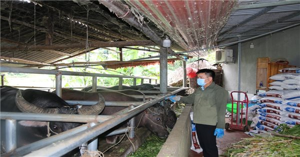 HTX Thiên An mở hướng thoát nghèo cho nông dân