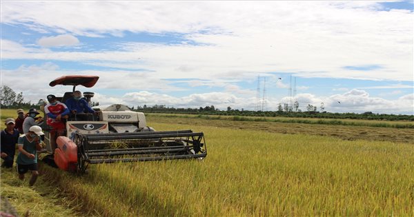 Liên kết sản xuất để dễ dàng tiêu thụ nông sản