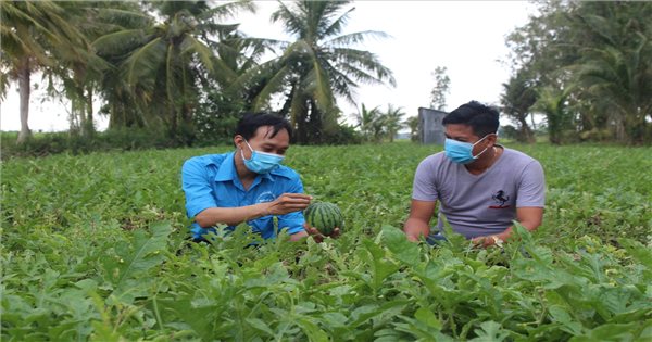 Mỹ Xuyên (Sóc Trăng): Nhiều thanh niên Khmer khởi nghiệp thành công tại phum sóc