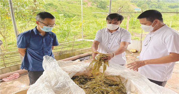 Mường Nhé (Điện Biên): Dấu ấn một năm hiện thực hóa Nghị quyết của Đảng bộ vào cuộc sống