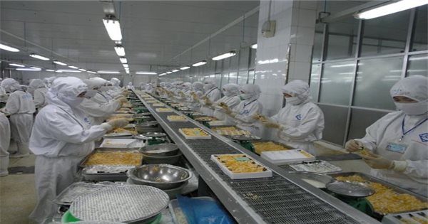Xuất khẩu tôm Việt sang Mỹ đã hơn 1 tỉ USD