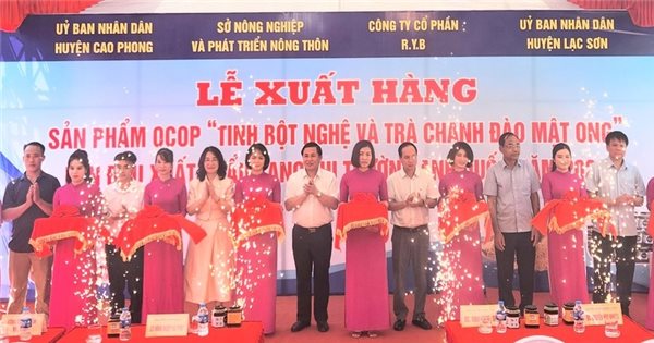 Những đặc điểm nổi bật của tinh bột nghệ An Bình?
