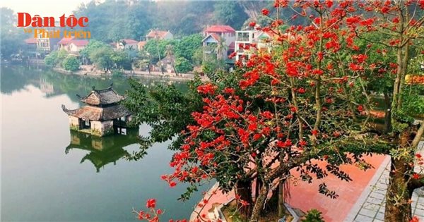 Quảng Đức: Cây chè là động lực phát triển bền vững cho cộng đồng dân tộc thiểu số