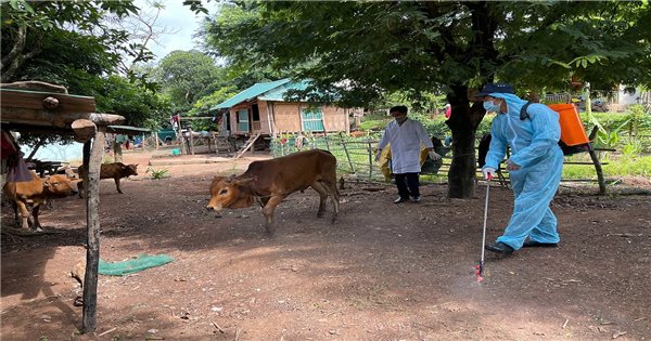 Hỗ trợ sinh kế cho đồng bào DTTS: Cần phải có biện pháp với những yếu tố gây ảnh hưởng đến hiệu quả