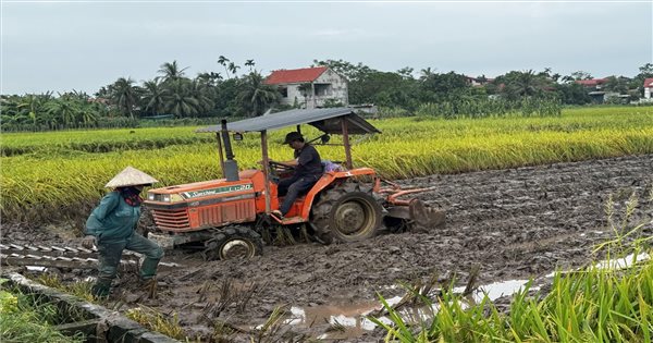 Các địa phương tập trung khôi phục sản xuất sau bão, lũ