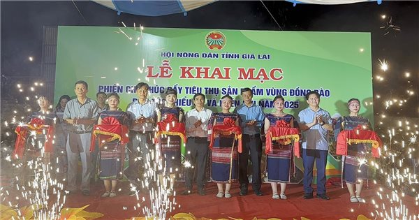 Gia Lai: Phiên chợ kết nối, thúc đẩy tiêu thụ sản phẩm vùng đồng bào DTTS
