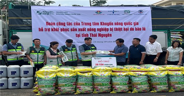 Trung tâm Khuyến nông Quốc gia đồng hành cùng nông dân khắc phục hậu quả thiên tai, ổn định sản xuất
