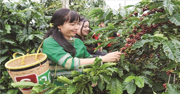 Trợ lực từ Chương trình MTQG 1719 hình thành tư duy sản xuất hàng hóa hiện đại