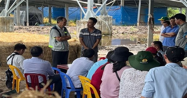 An Giang đào tạo nâng cao năng lực cho thành viên Tổ Khuyến nông cộng đồng