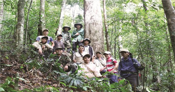 Gắn trách nhiệm, nâng sinh kế từ dịch vụ môi trường rừng