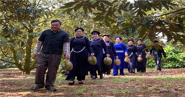 Trái sầu riêng thành “trái vàng, trái bạc”