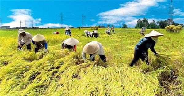 Nâng quy mô gói tín dụng ưu đãi ngành nông, lâm, thủy sản lên 185.000 tỷ đồng