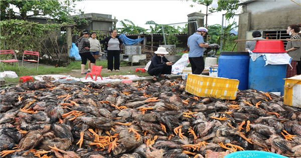 Sau bão số 10 nhiều gia đình ở Nghệ An trắng tay, nợ nần chồng chất