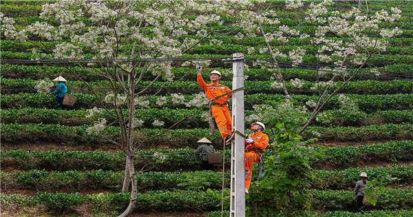 Lời chào năm mới từ những người giữ dòng điện miền Bắc