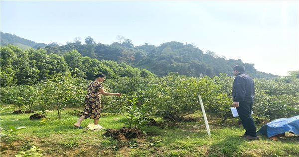 Hàm Yên (Tuyên Quang): Phát huy hiệu quả Chương trình cho vay giải ...