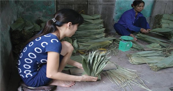 cây bương là cây gì