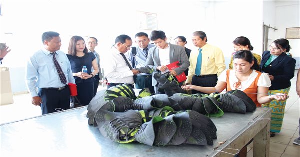 Doanh nhân Đỗ Long đưa thương hiệu giày dép Việt ra thế giới