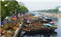 Hơn 500 nhà vườn tham gia Chợ hoa Xuân “Trên bến dưới thuyền” Tết Nhâm Dần 2022