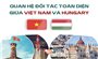 Quan hệ Đối tác toàn diện giữa Việt Nam và Hungary