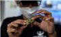 Liên hợp quốc cảnh báo về gia tăng hoạt động sản xuất ma túy trái phép