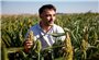 Nông dân Pháp: Phát triển nông nghiệp bền vững từ trồng cây cao lương