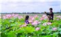 Trải nghiệm Đồng Tháp