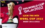 Lịch thi đấu World Cup 2022 ngày 30/11/2022