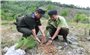 Tây Giang (Quảng Nam): Trồng và bảo vệ rừng để phát triển bền vững