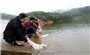 Quảng Ninh: Các địa phương đồng loạt thả con giống thủy sản