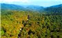 Bảo vệ và phát triển rừng bền vững ở Nghệ An: Cộng đồng “sống khỏe” (Bài 2)