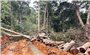 Khánh Hòa: Yêu cầu điều tra xử lý nghiêm vụ lâm tặc ủi đường vào phá rừng