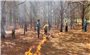 Gia Lai: Cộng đồng dân cư cảnh giác với cháy rừng mùa nắng nóng