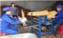 Trồng quế hữu cơ xây biệt thự