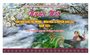 Ngày hội Văn hóa dân tộc Mông - Mùa hoa Lê Bảo Lạc 2024 sẽ diễn ra trong tháng 3