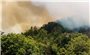 Vụ cháy rừng tại Hà Giang: Hai cán bộ kiểm lâm tử nạn