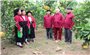 Bắc Giang: Tổ chức Liên hoan dân ca, dân vũ các dân tộc thiểu số tỉnh lần thứ nhất