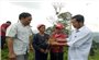 Quảng Nam: Hỗ trợ 5 xã vùng cao huyện Tây Giang trồng 18ha cây dược liệu