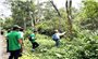 Bảo tồn và phát triển tài nguyên cây thuốc tại Vườn quốc gia Cúc Phương