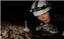 Phát hiện sinh vật lạ trong hang động sâu ở Phong Nha - Kẻ Bàng