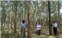Sự sống nơi rừng xanh Quảng Trị: Rừng “trả phí” cho người ( Bài 2)