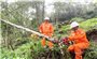 Căng mình khắc phục sự cố lưới điện bị ảnh hưởng do bão số 10